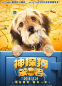 破天神道社区分享：玩家心得与互动